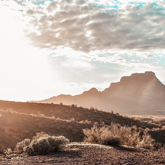 Meet your Posher, Shirena - Picture 1 of 1